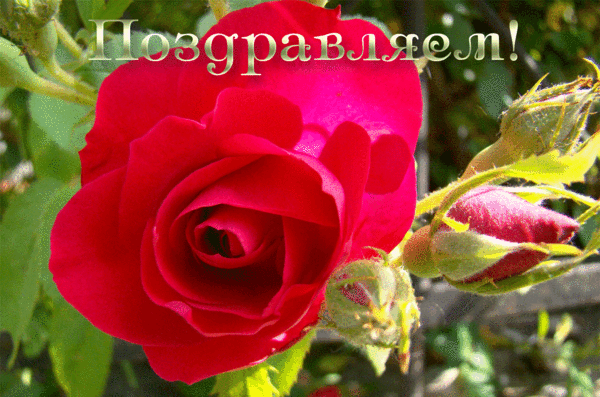http://www.slipenchuk.ru/news/archive/articles/117/5a1efcf03ae5a2bccc4c141a1275a64c.gif